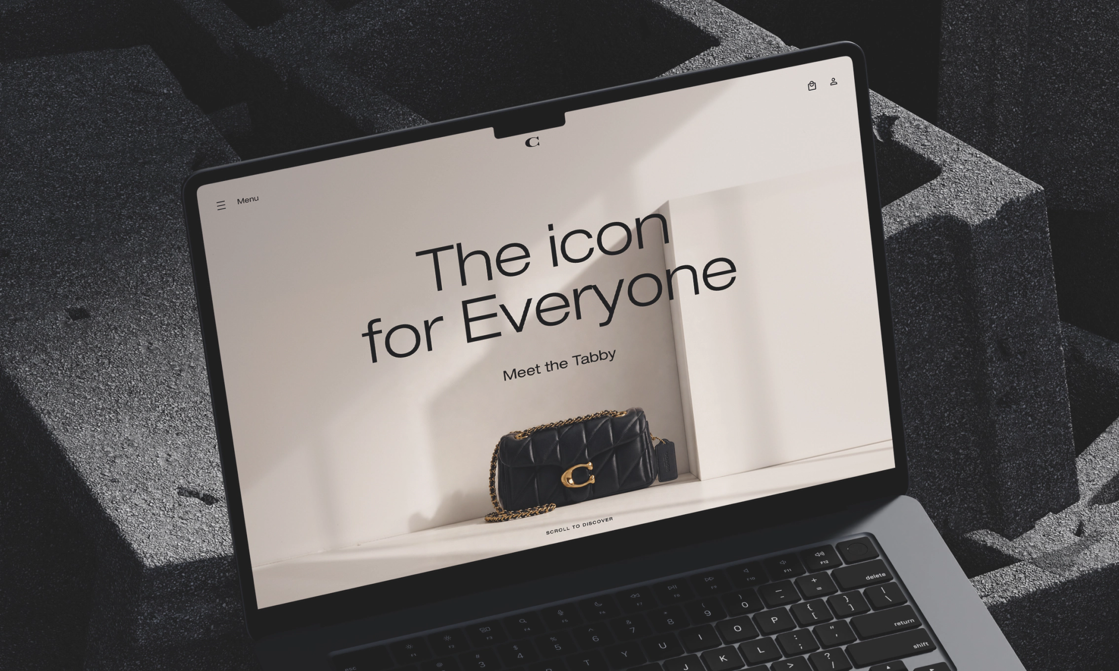 Coach Tabby landing page hero with product photography and campaign headline