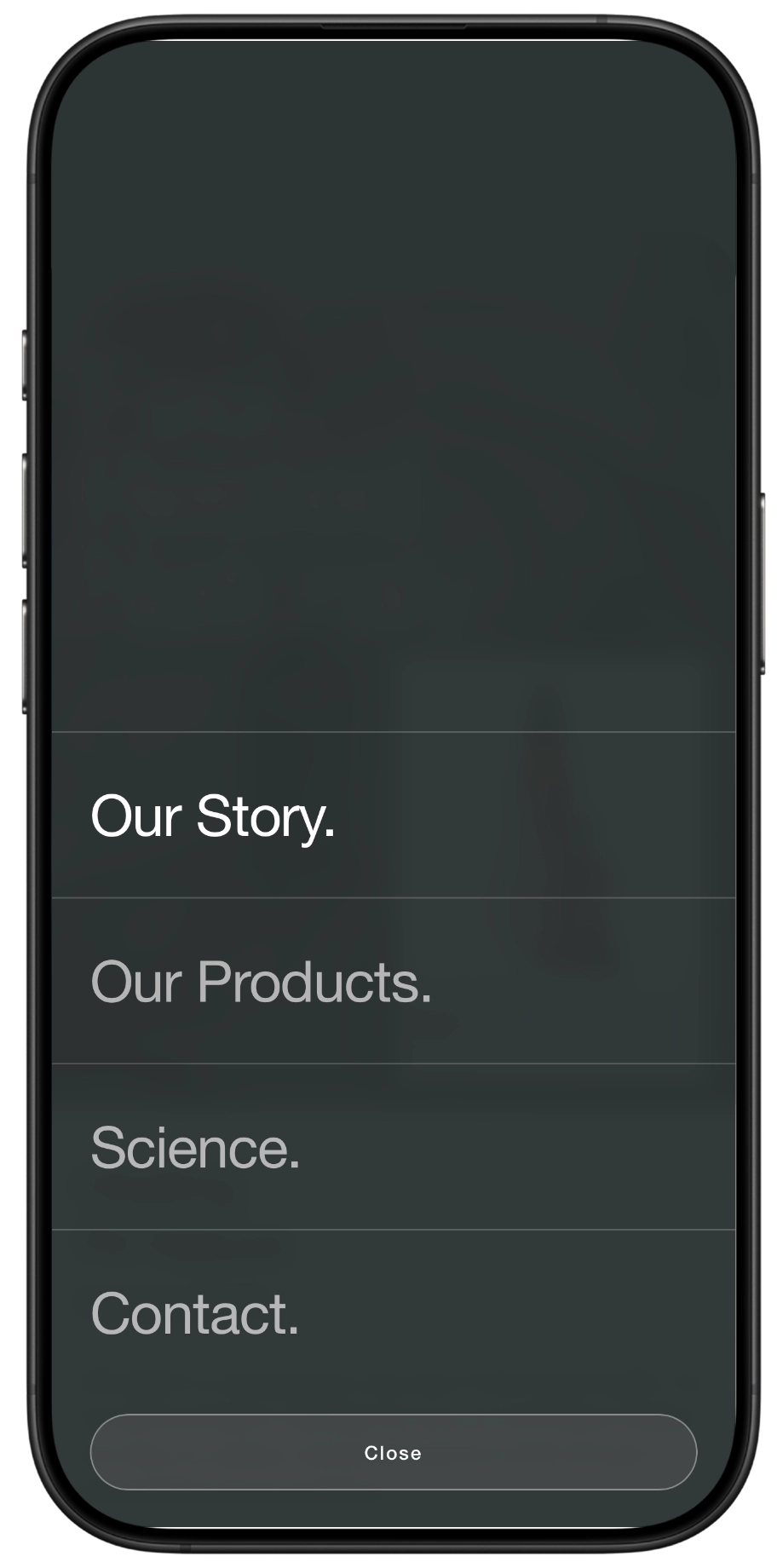 Project phone mockup 3