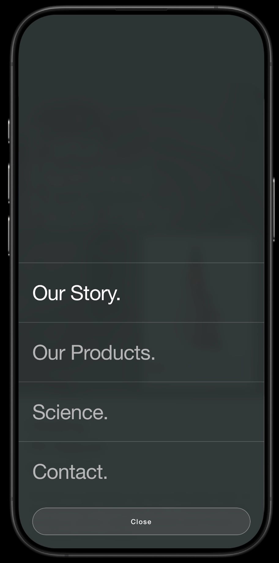 Project phone mockup 3
