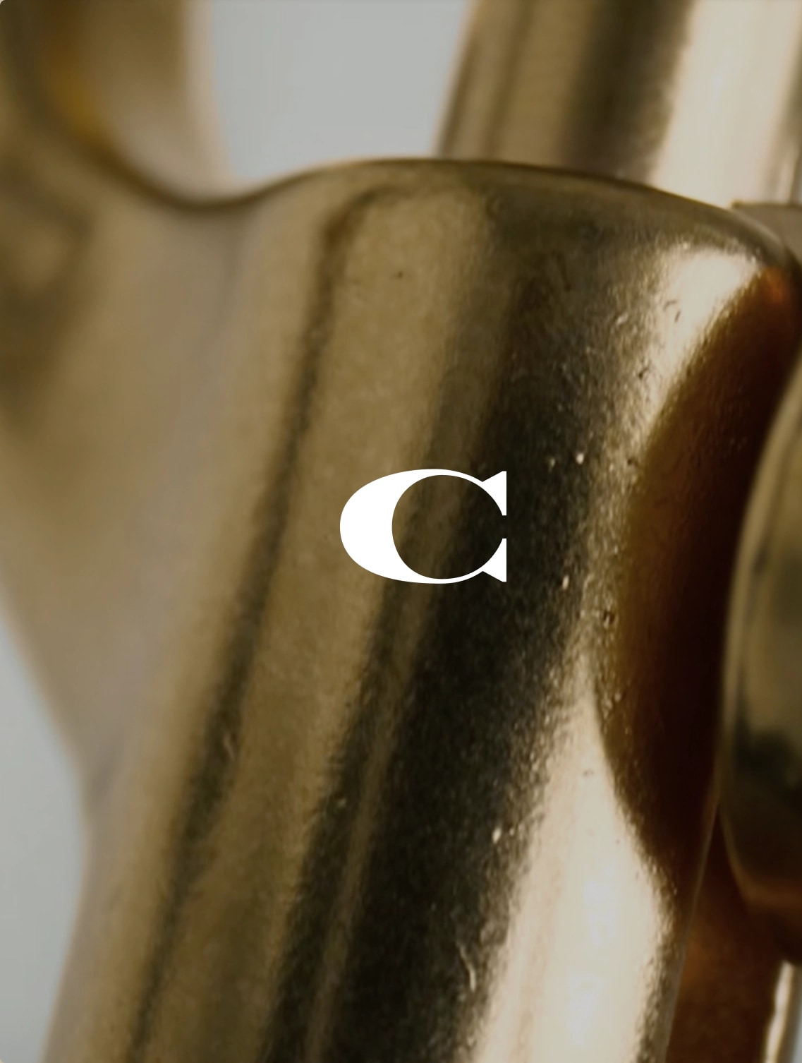 Coach Landing project preview