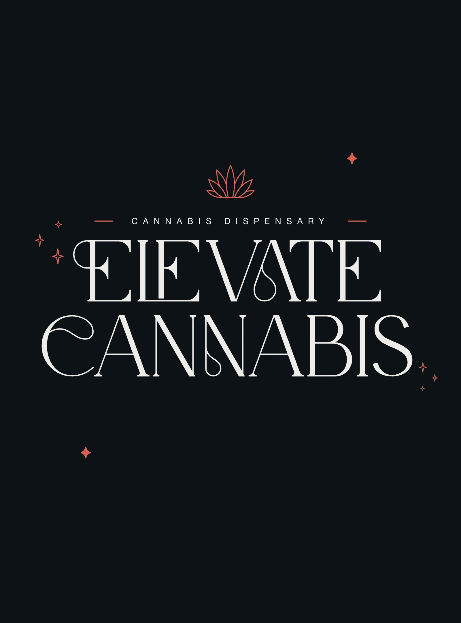 Elevate web design project preview